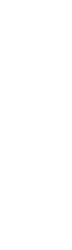 世界初の奇跡のエスカルゴ