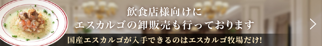 飲食店様向けにエスカルゴの卸販売も行っております